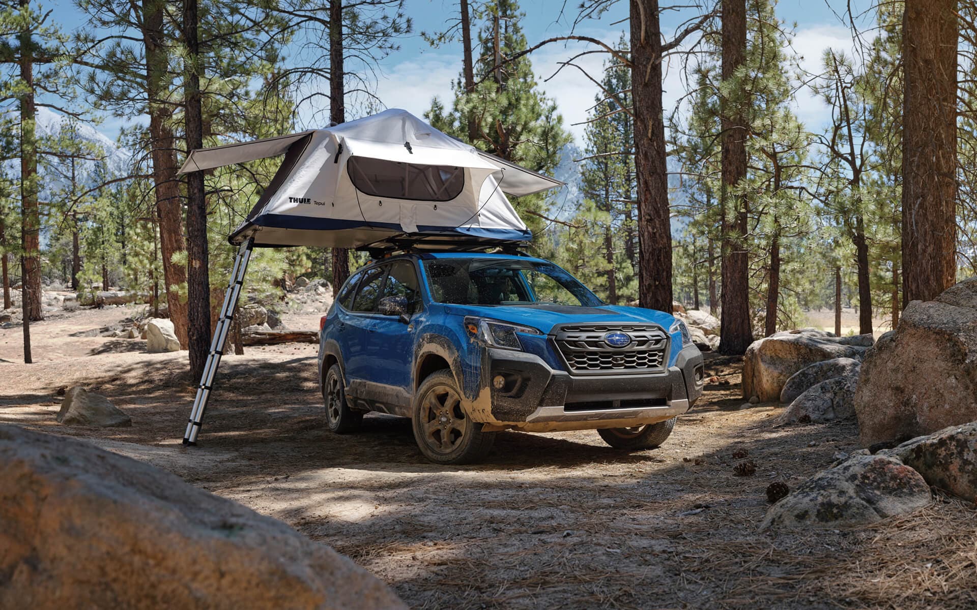 The 2022 Subaru Forester Wilderness parked in a forest, with a roof top tent mounted on the roof racks.